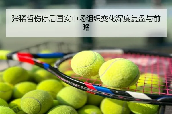 张稀哲伤停后国安中场组织变化深度复盘与前瞻